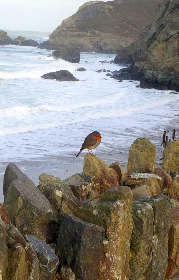 Wrens Nook Holiday home *