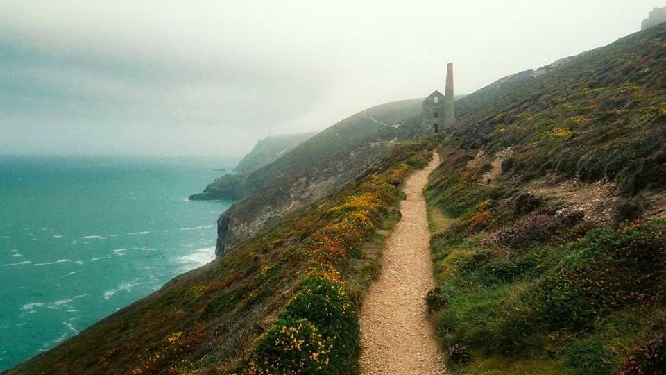 Wrens Nook * St Agnes (Cornwall)